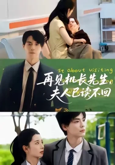 再见机长先生，夫人已读不回